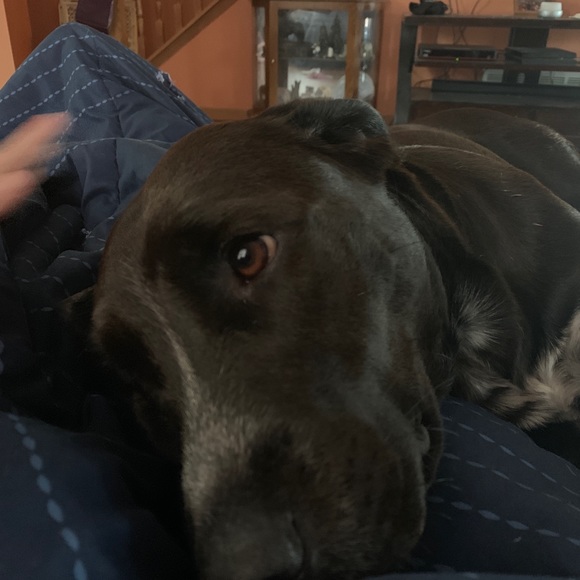 Meet your Posher, Philip - Picture 1 of 1